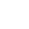 cellphone100